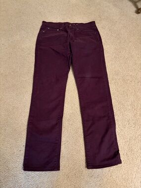 urban pipeline Slim Men's Jeans in Plum